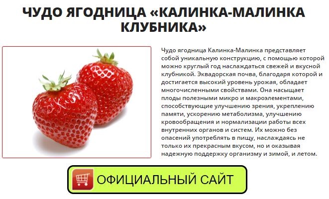 набор для выращивания домашняя ягодница