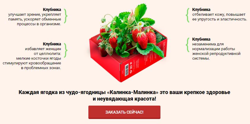 Чудо ягодница клубники в Кемерово